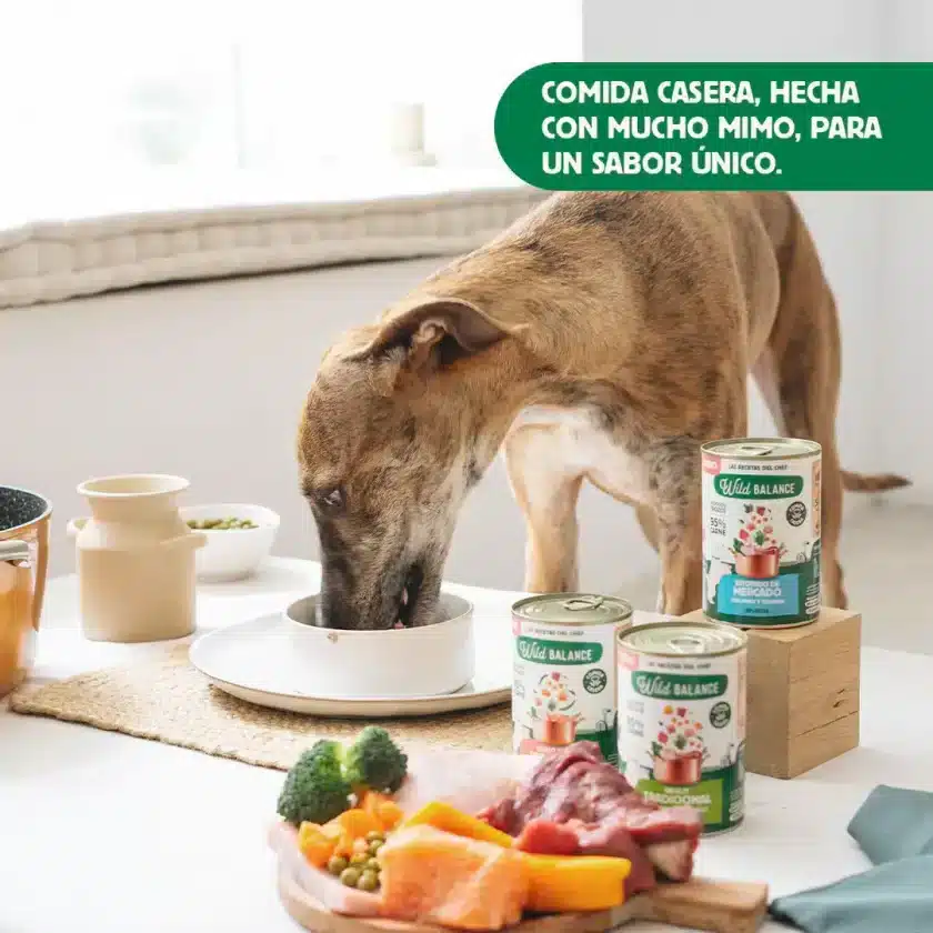 Las Recetas del Chef - Lata de Ragut Tradicional para perros