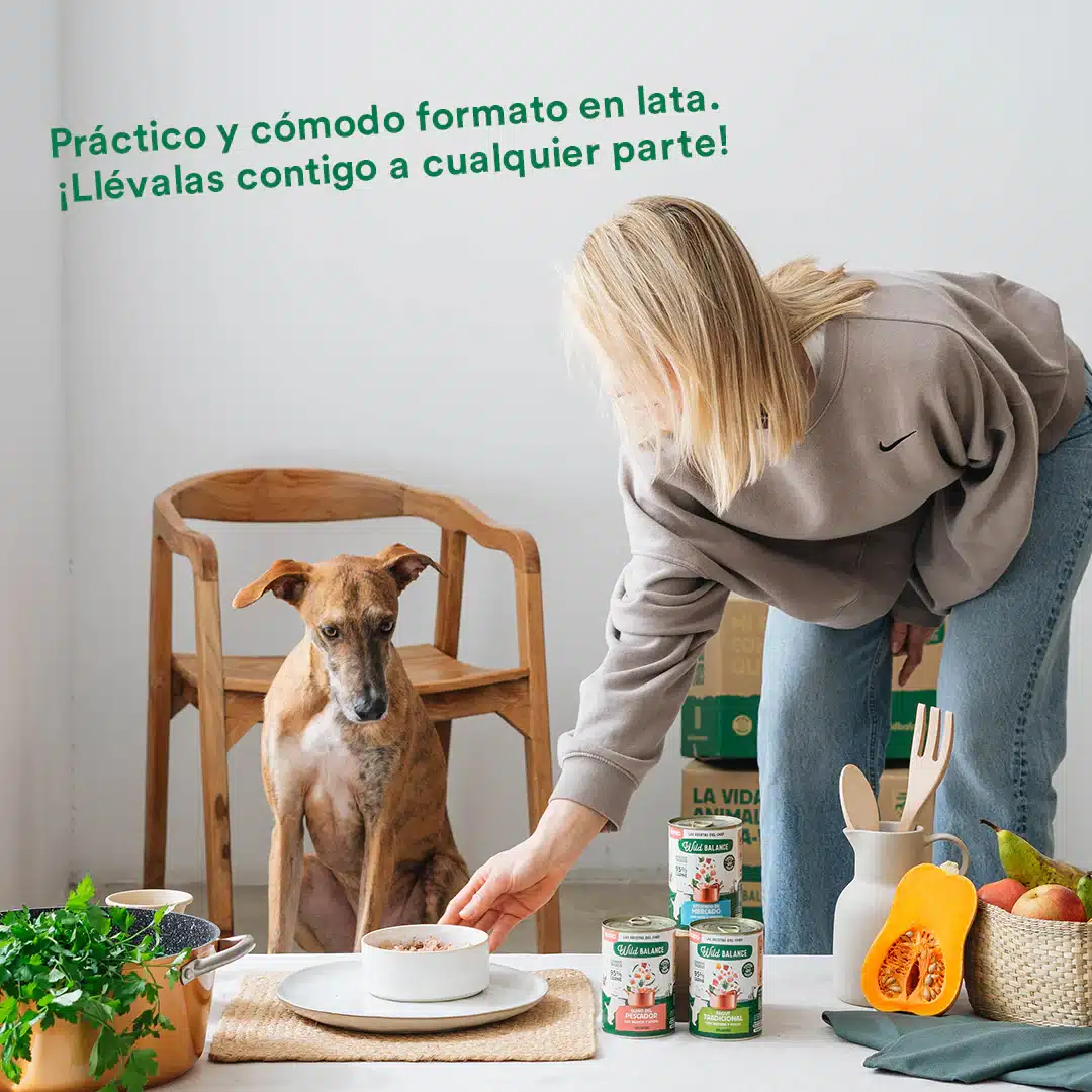 Las Recetas del Chef - Lata de Ragut Tradicional para perros