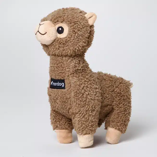 Benja la Alpaca
