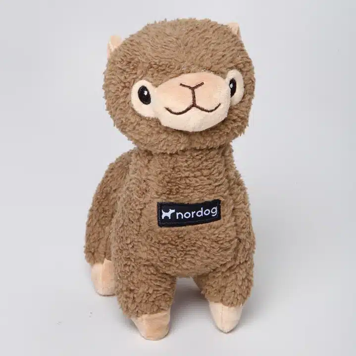 Benja la Alpaca