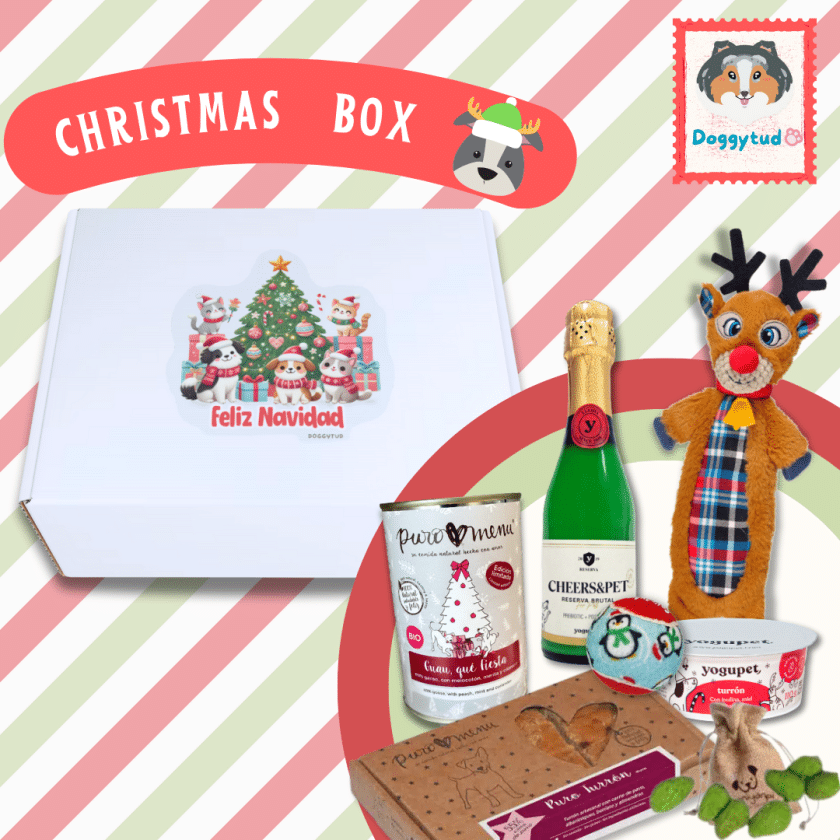 Christmas Box para Perros