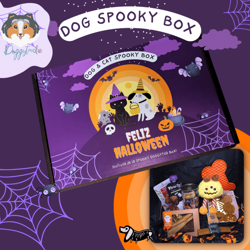 Spooky Box de Halloween para perros