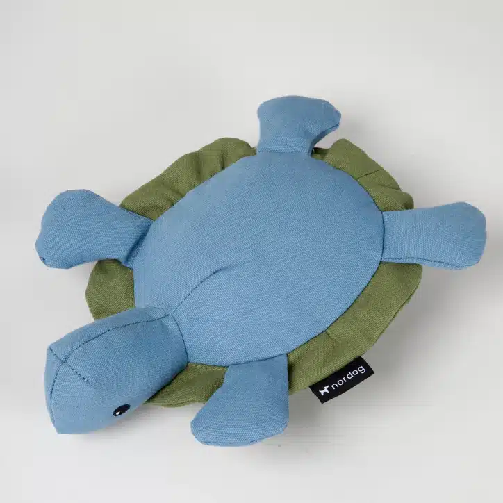 Kimber la tortuga