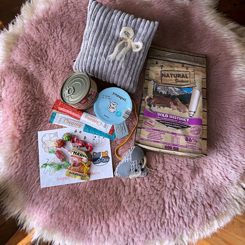 kitten Box con saco valeriana para gatos. Caja regalo para gatos