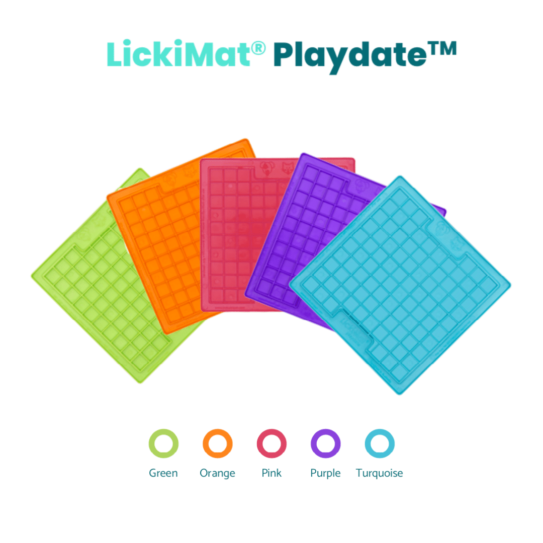 LickiMat Playdate