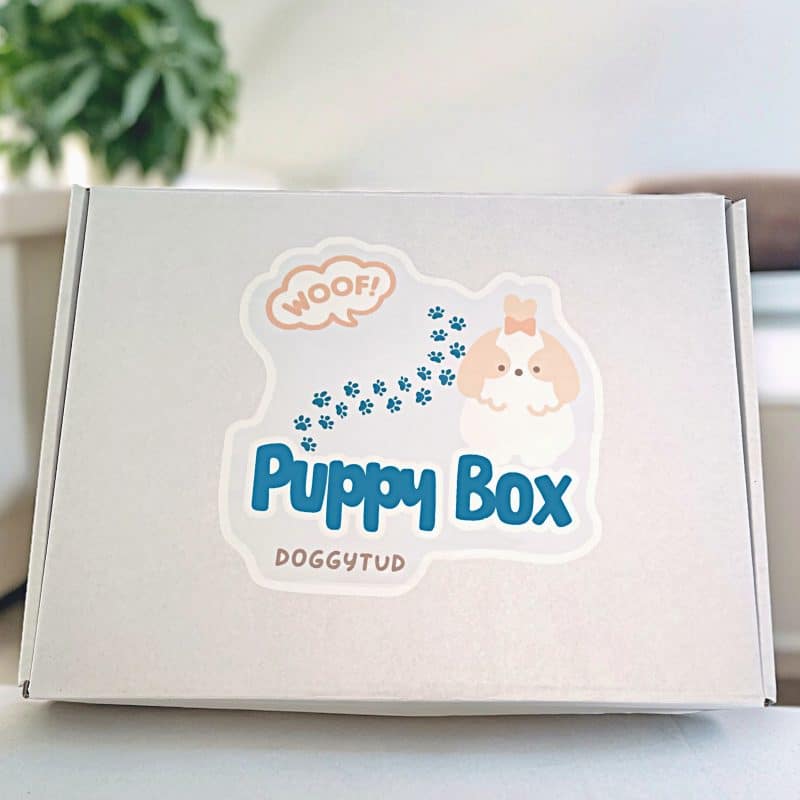 Puppy Box Caja para cachorros