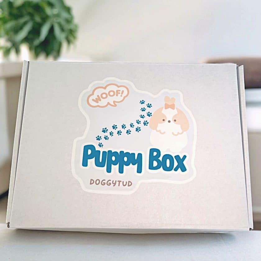 Puppy Box Caja para cachorros
