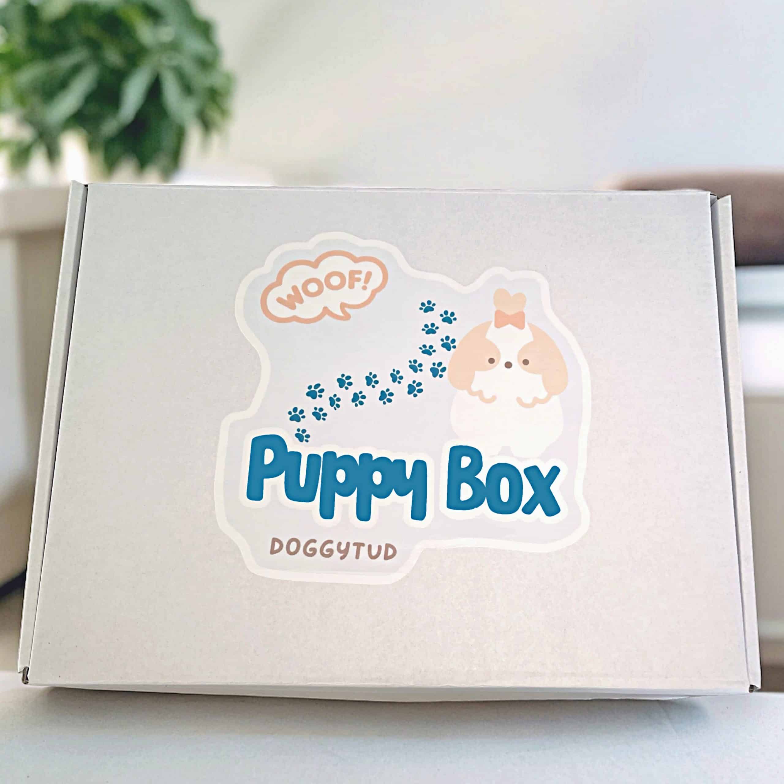 Puppy Box Caja para cachorros