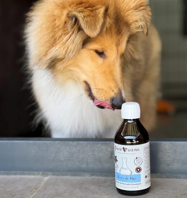 aceite de pescado para perros