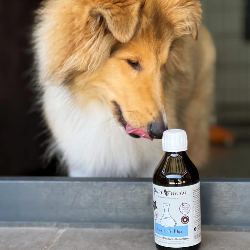 Suplementos para perros
