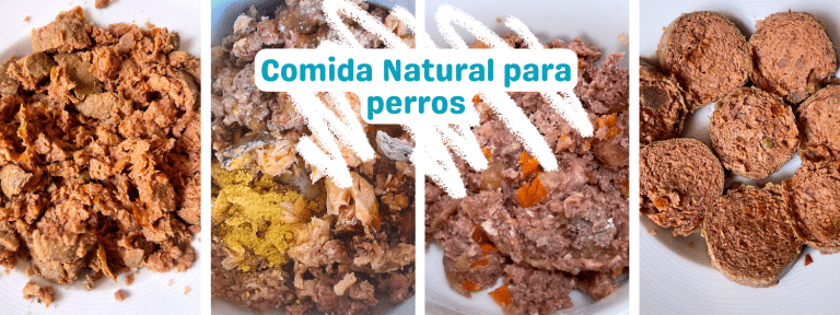 alimentacion natural para perros
