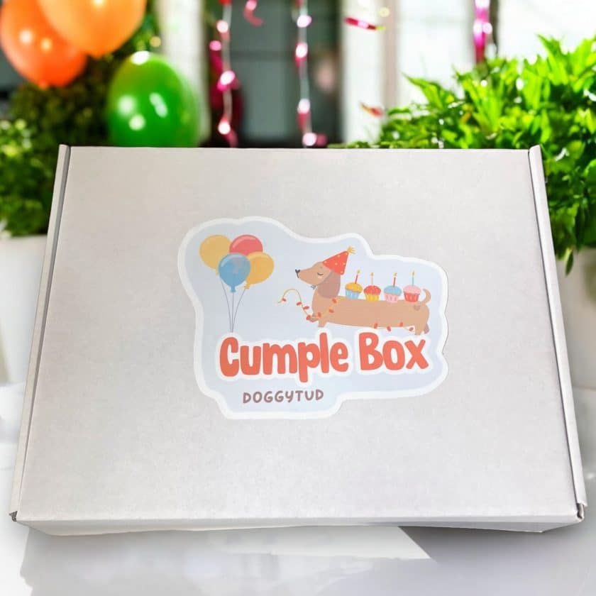 Caja Cumple Box para perros