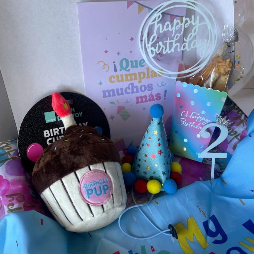 Caja cumple para perros AZUL