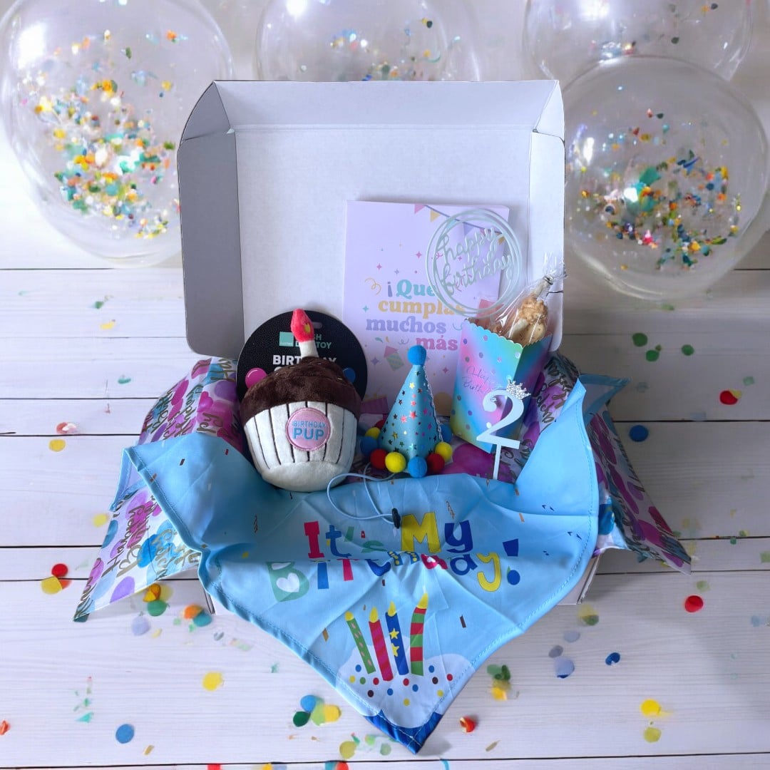 Caja cumple para perros AZUL