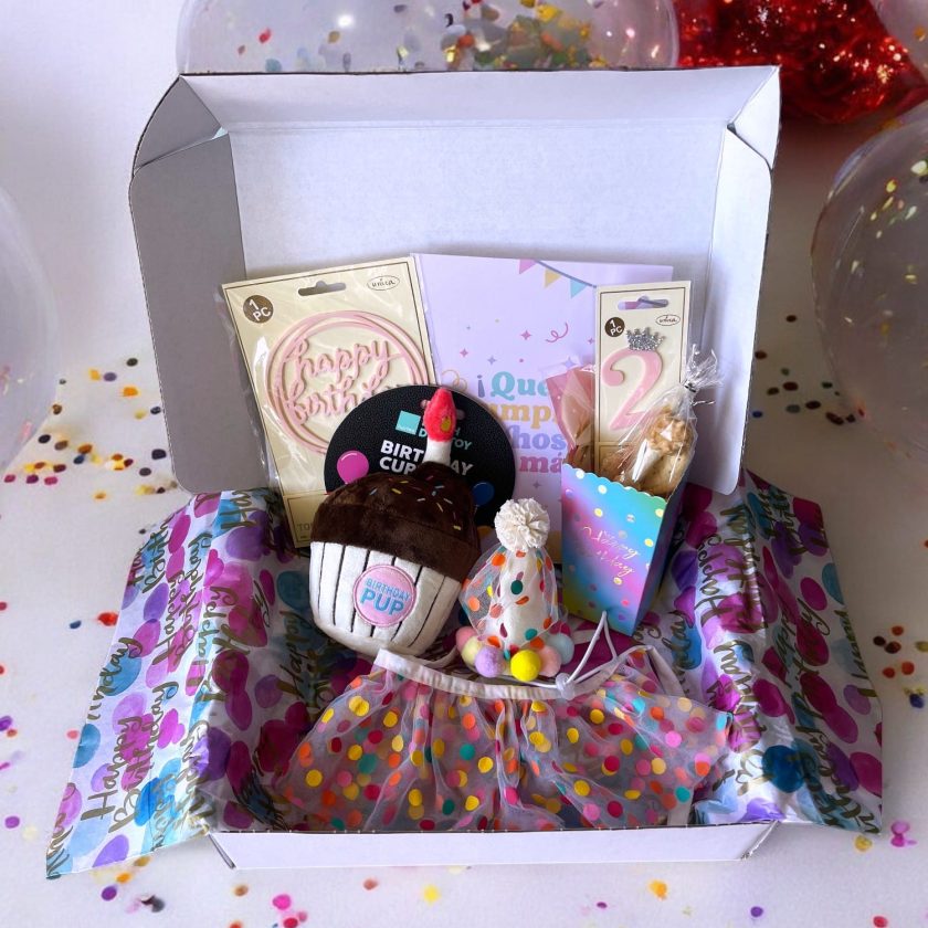 Caja cumple para perros Mini