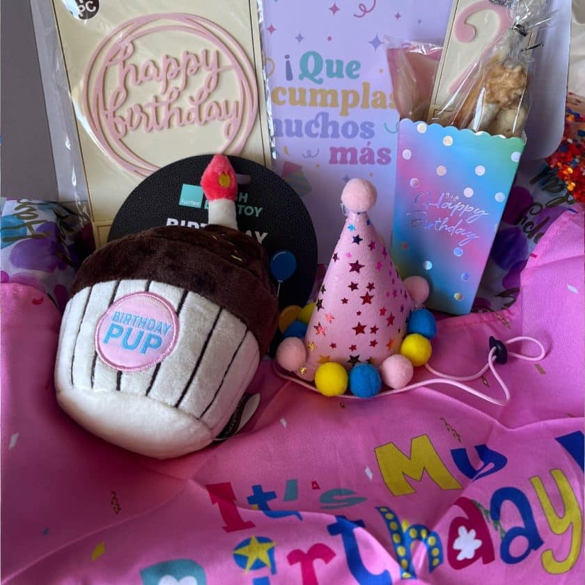 Caja cumpleaños para perros ROSA