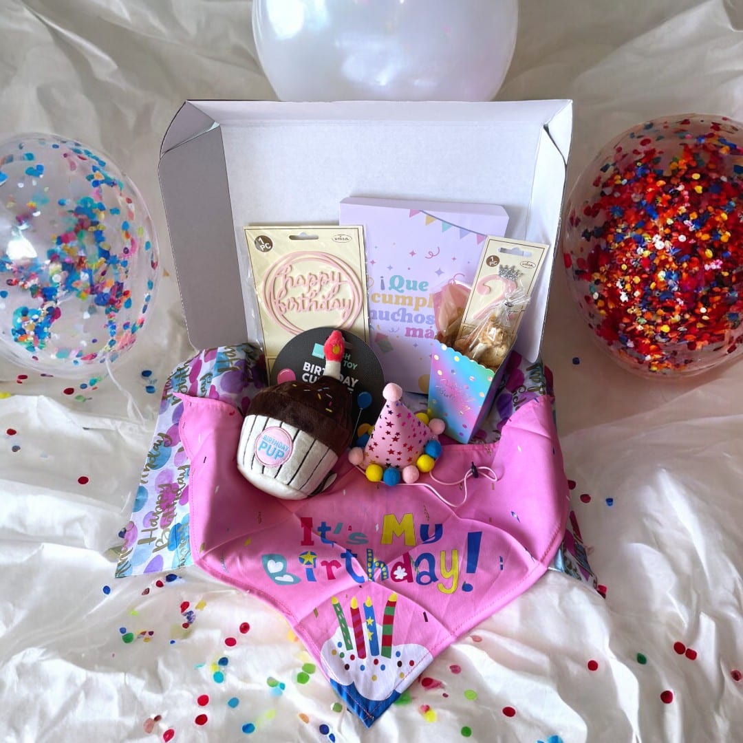 Caja cumpleaños para perros ROSA