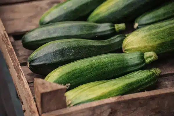 calabacin