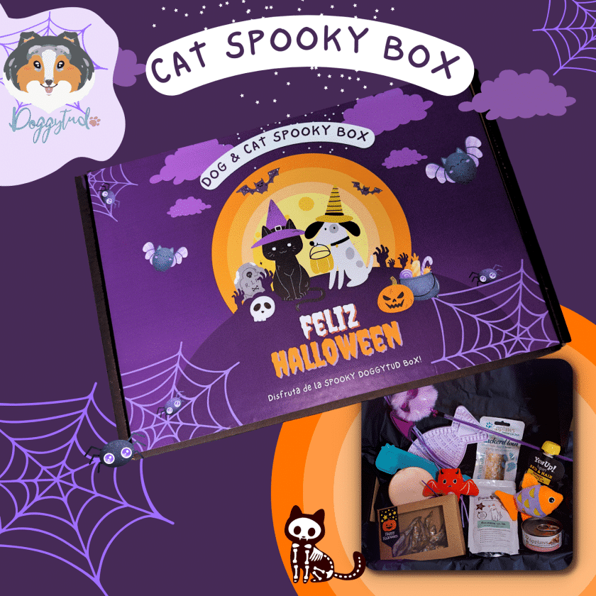 Spooky Box de Halloween para gatos