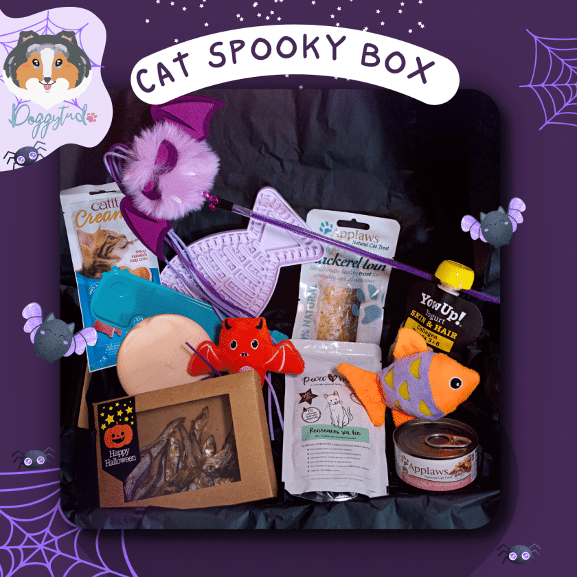 Spooky Box de Halloween para gatos