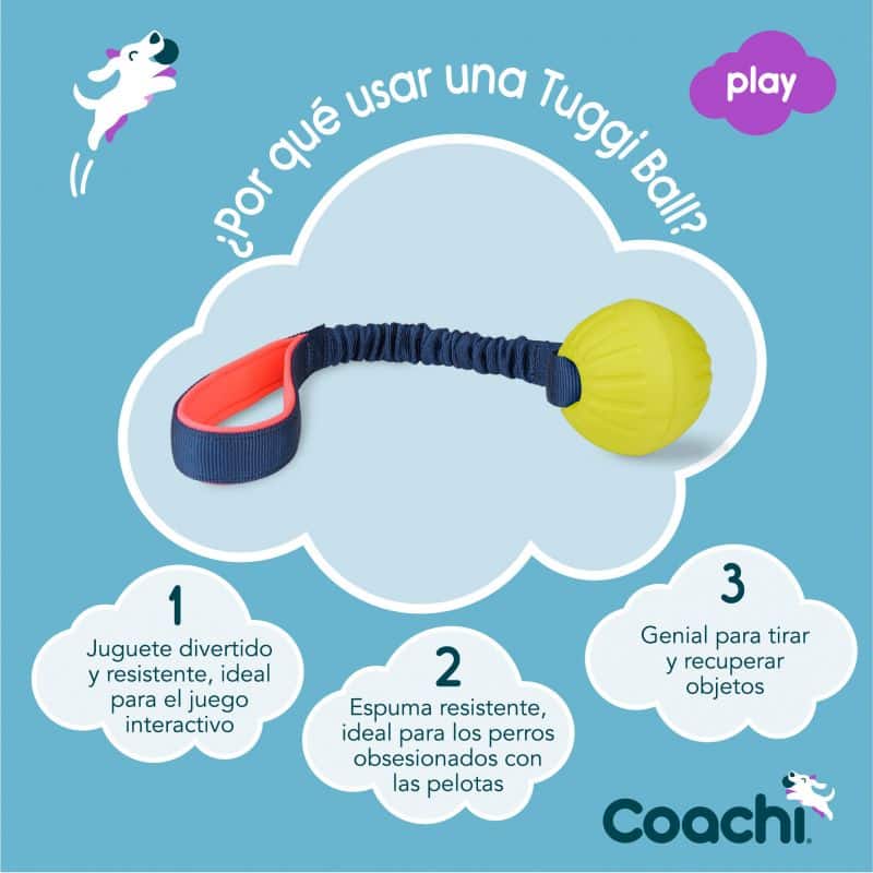 Alimentación natural para perros y gatos Pelota con tirador para perros