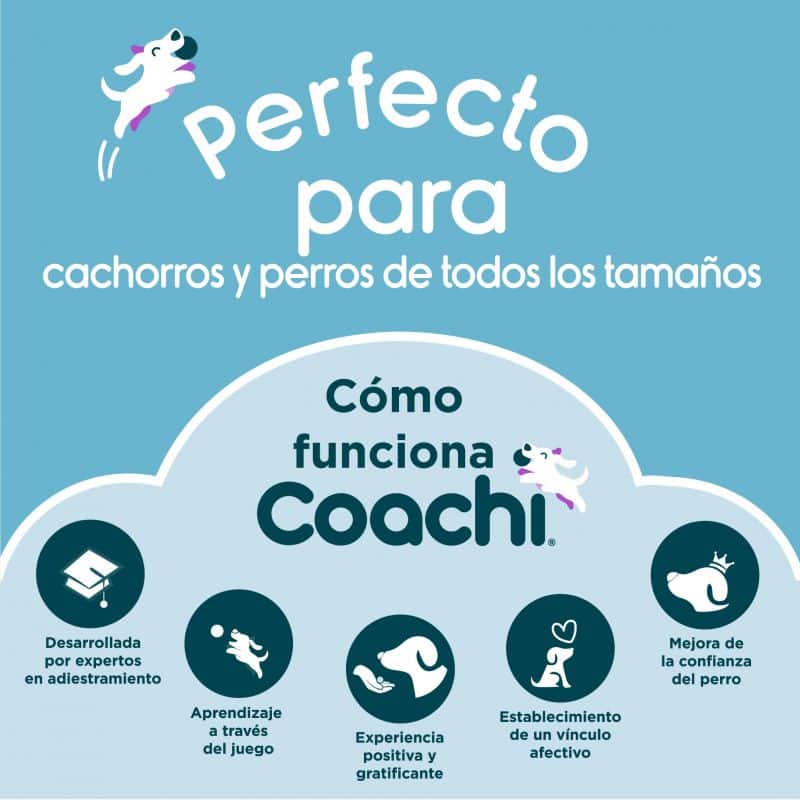 Alimentación natural para perros y gatos Pelota con tirador para perros