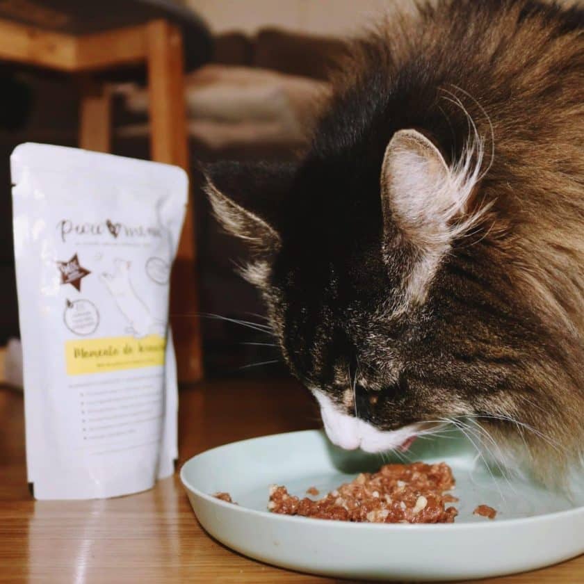 Comida Cocinada para gatos