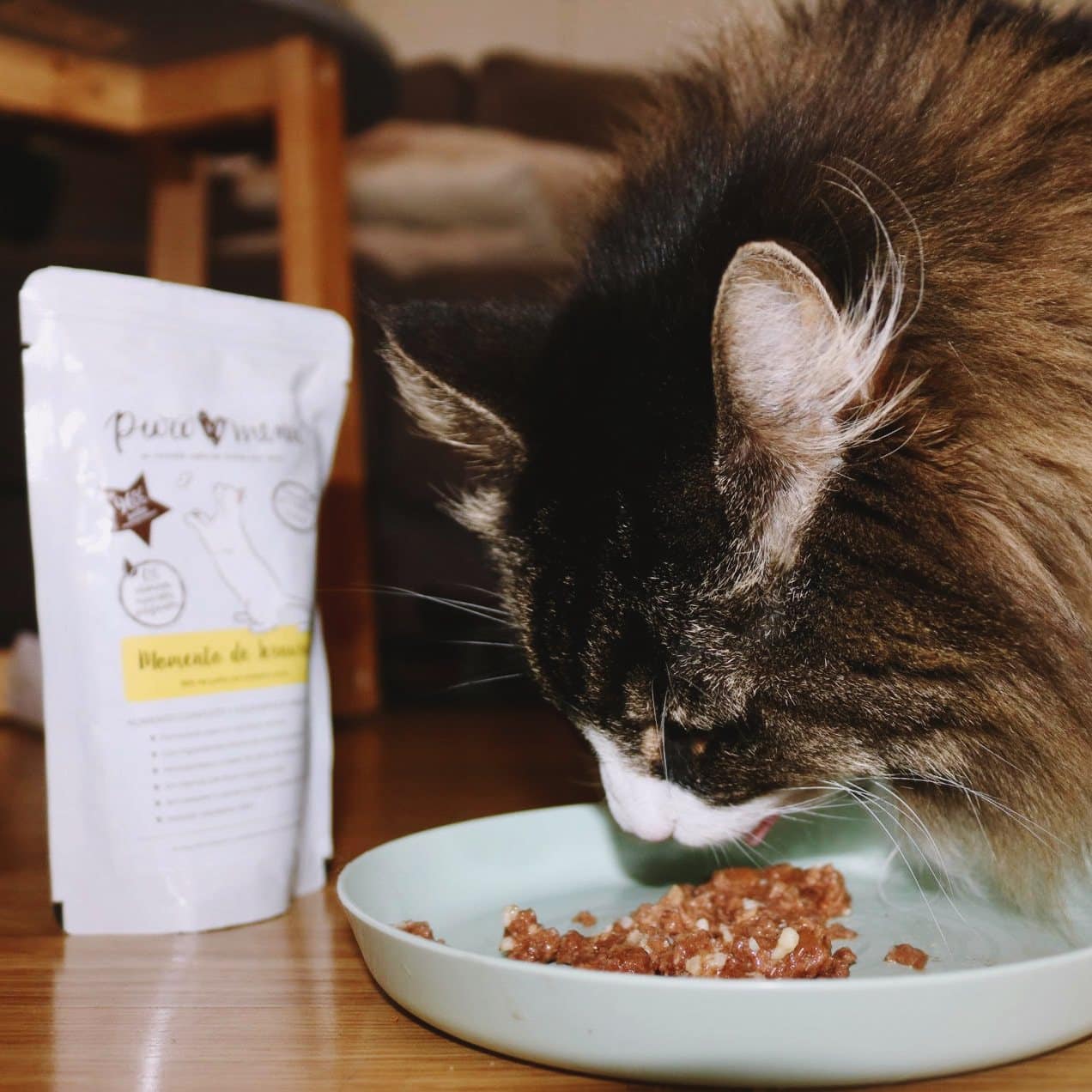 Alimentación natural para perros y gatos Comida Cocinada para gatos