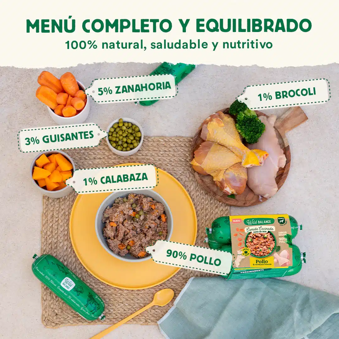 comida cocinada para perros de pollo2