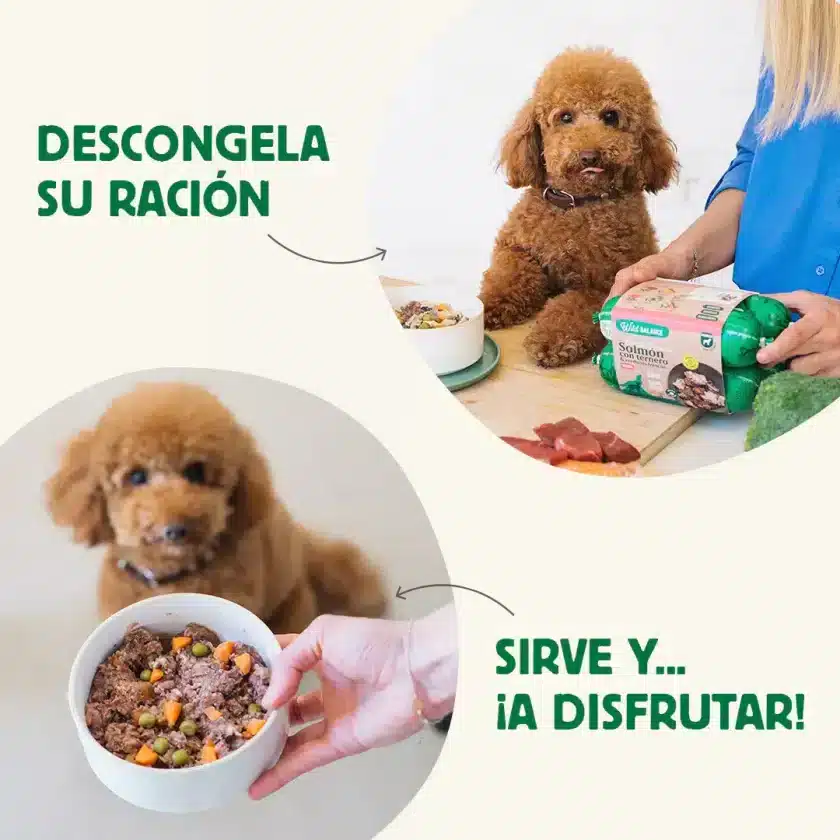 descongela ración de comida cocinada y sirve a tu perro