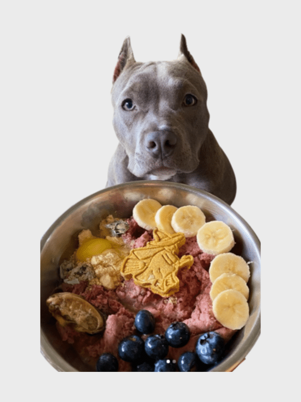 comidanatural