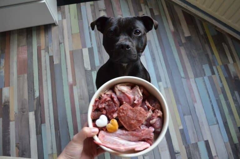 Comida natural BARF para perros y gatos