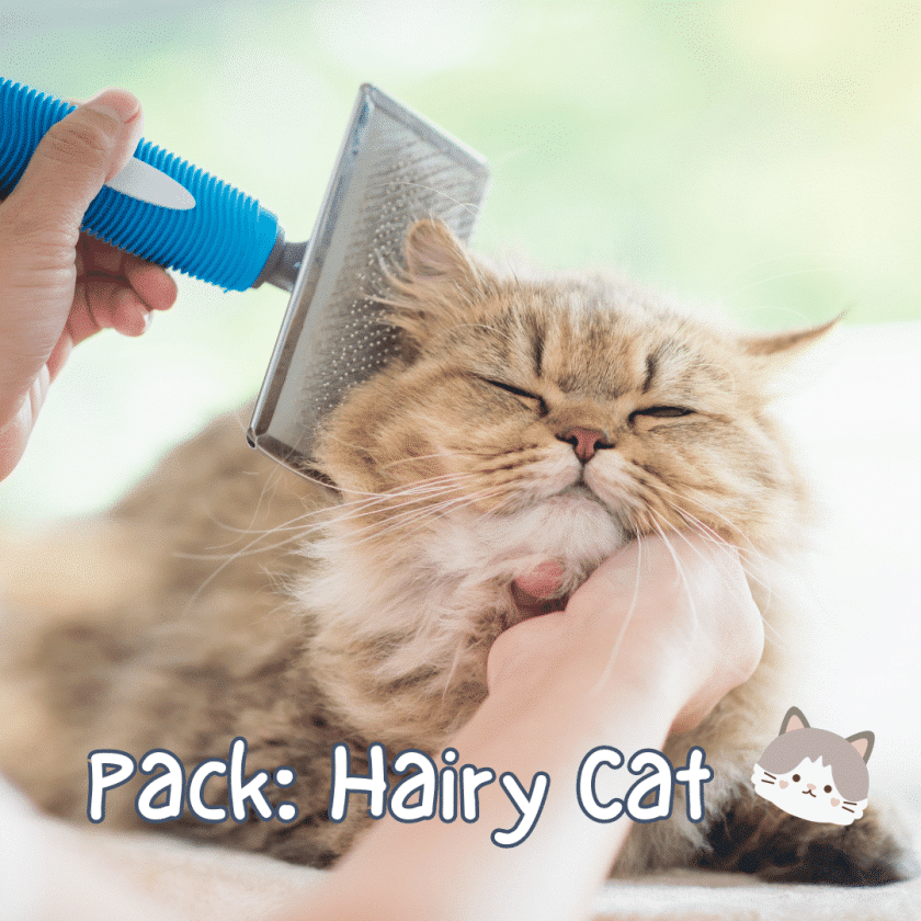 Pack peines para gatos Hairy Cat
