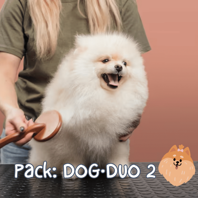 Pack Peines Dog·Duo 2