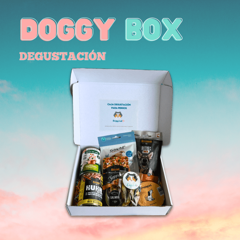 Caja degustación para perros con productos de calidad
