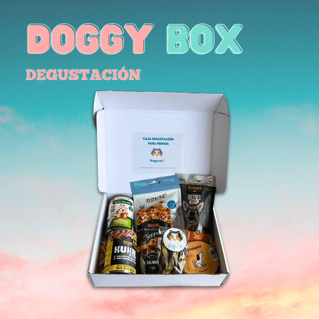 Caja degustación para perros con productos de calidad