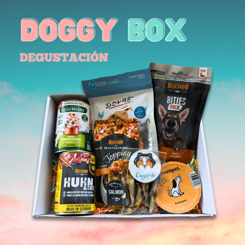 Doggy Box para perros.