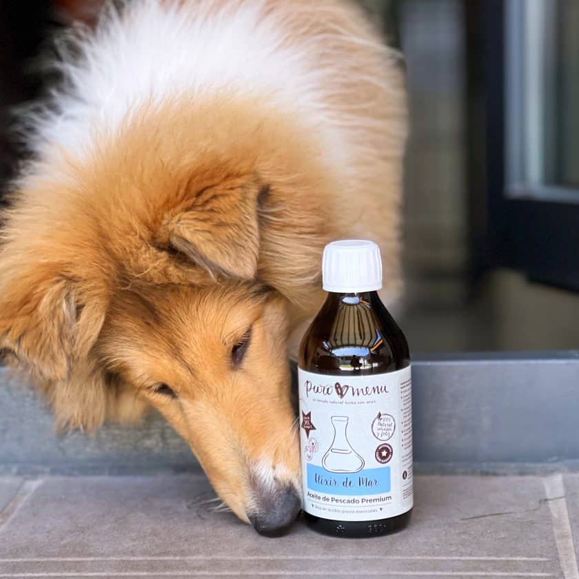 Aceite de Pescado para perros y gatos
