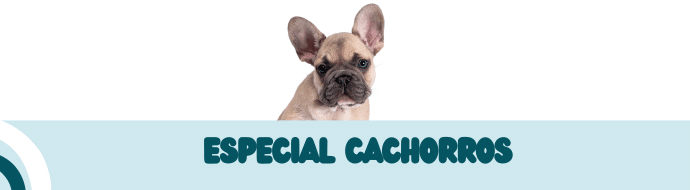 Sección Especial Cachorros