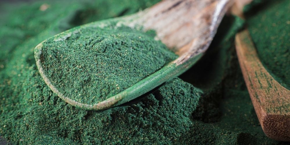 suplemento para perros Espirulina orgánica