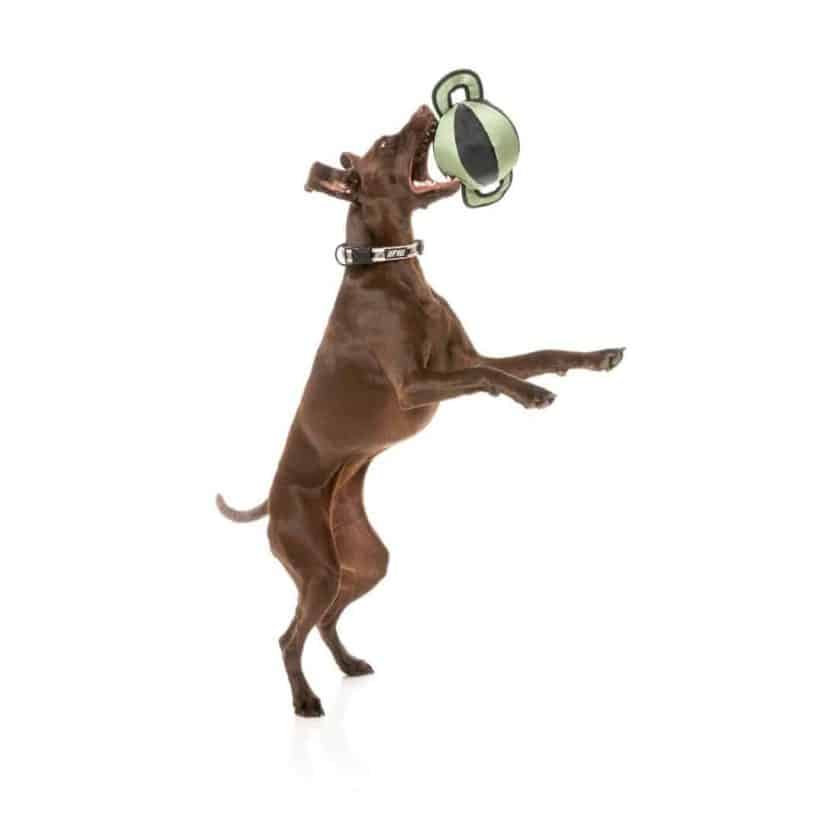 Fuzzyard active - ball tug - verde