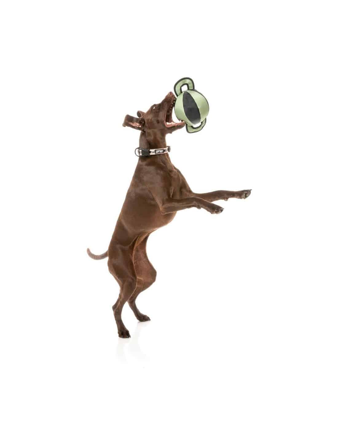 Fuzzyard active - ball tug - verde
