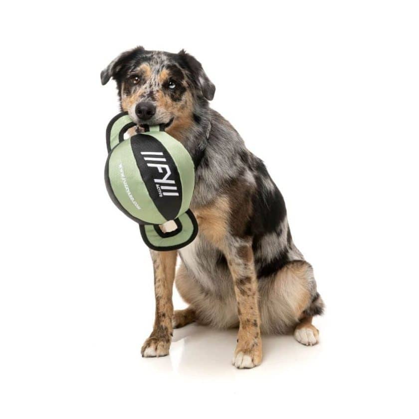 Fuzzyard active - ball tug - verde