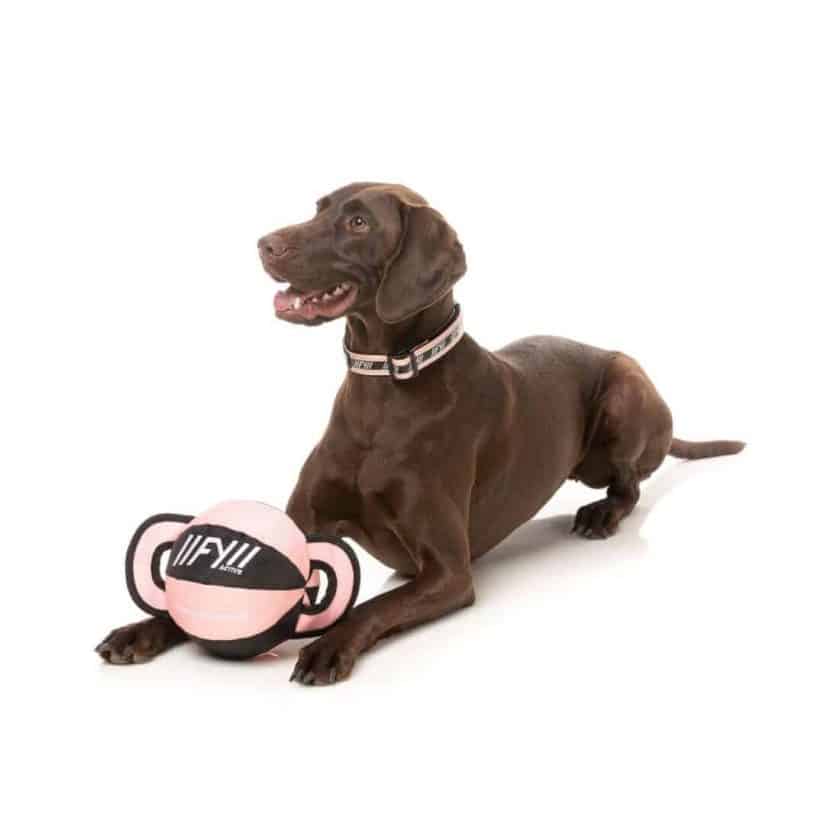 Fuzzyard active - ball tug - rosa