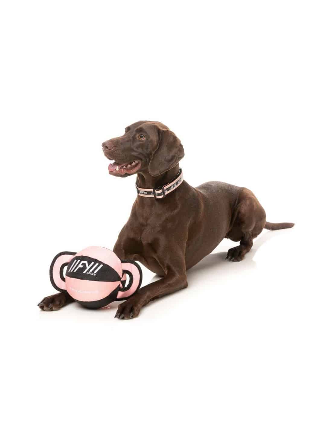 Fuzzyard active - ball tug - rosa