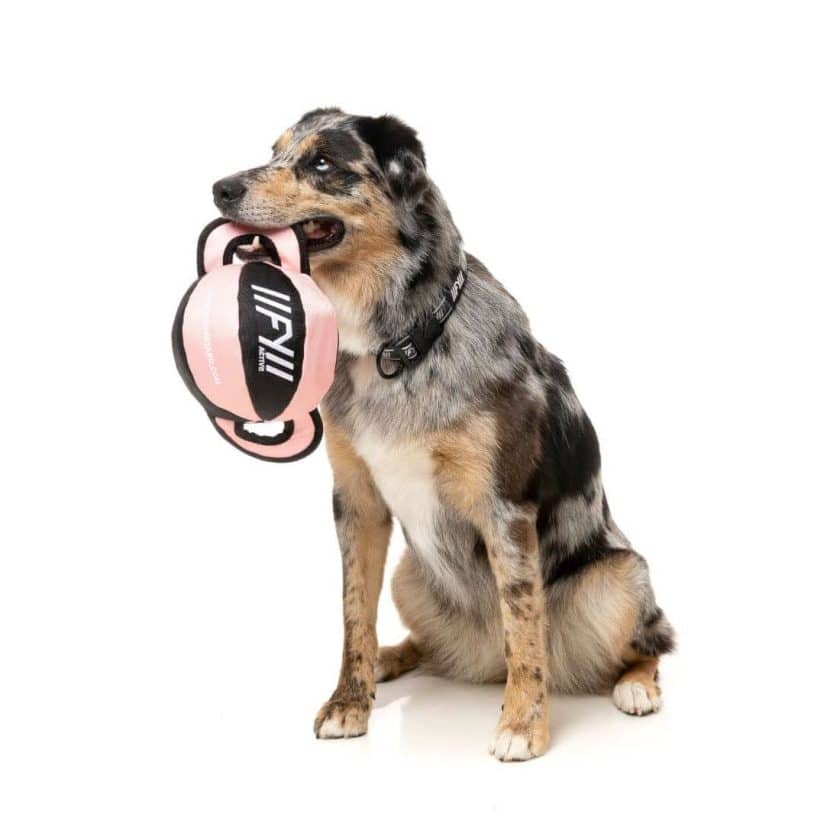 Fuzzyard active - ball tug - rosa