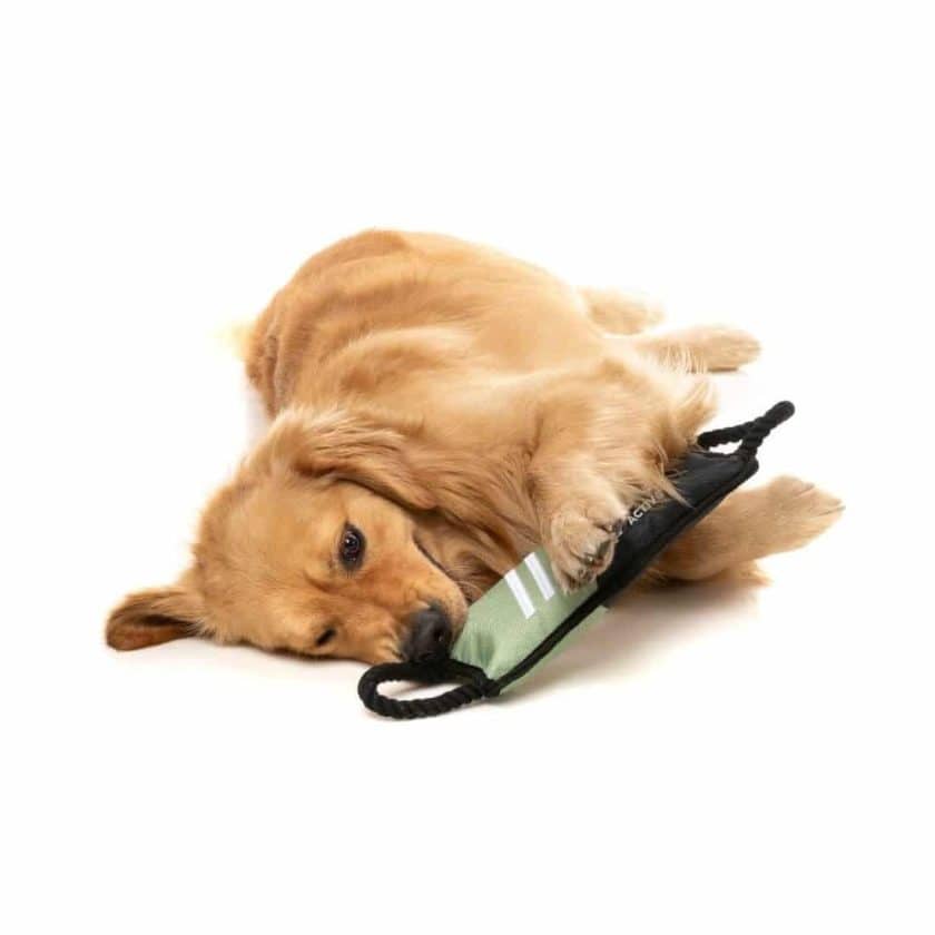 Fuzzyard active - Rope Tug- verde