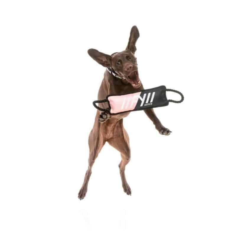 Fuzzyard active - Rope Tug- rosa