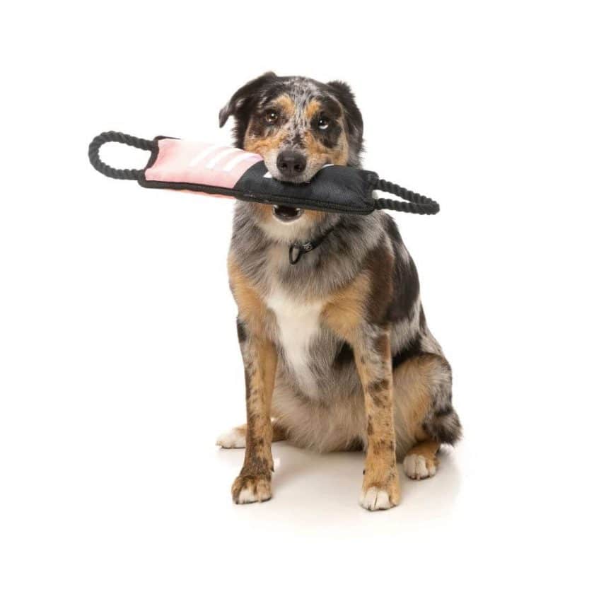 Fuzzyard active - Rope Tug- rosa