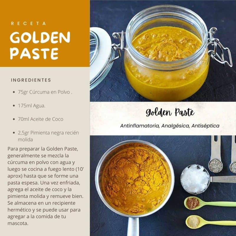 Receta Golden paste para perros y para gatos